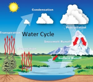 water cycle