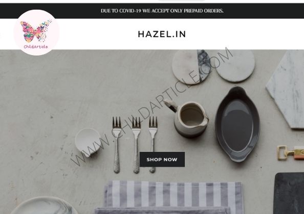 Hazel (hazel-in.myshopify.com) Site Real or Fake, Wiki | ChildArticle