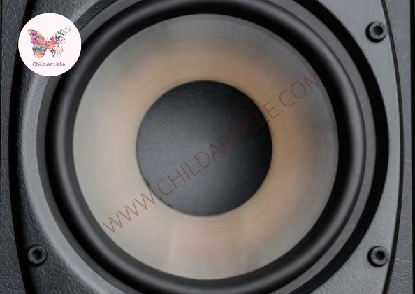 What Are Speaker Drivers | ChildArticle