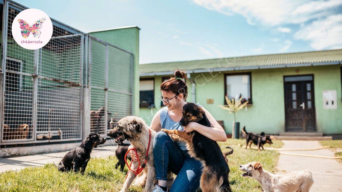 Best Dog Shelter In Los Angeles | ChildArticle