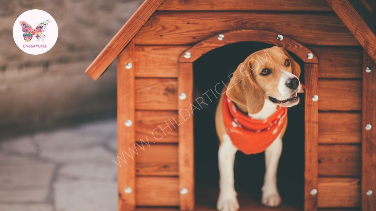 How to Build a Large Dog House | ChildArticle