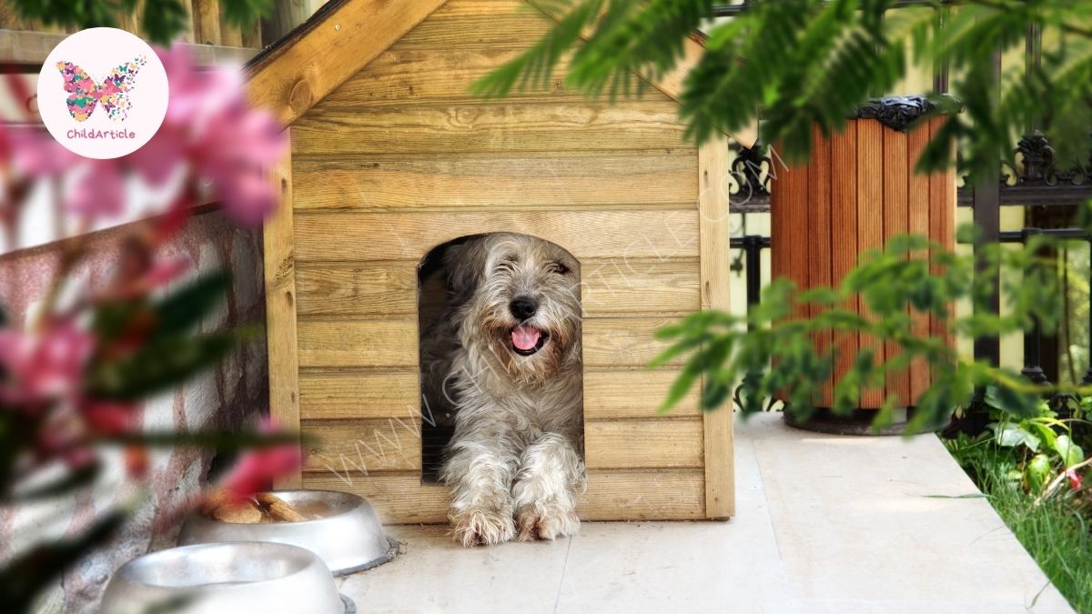 How to Insulate a Barrel Dog House | ChildArticle