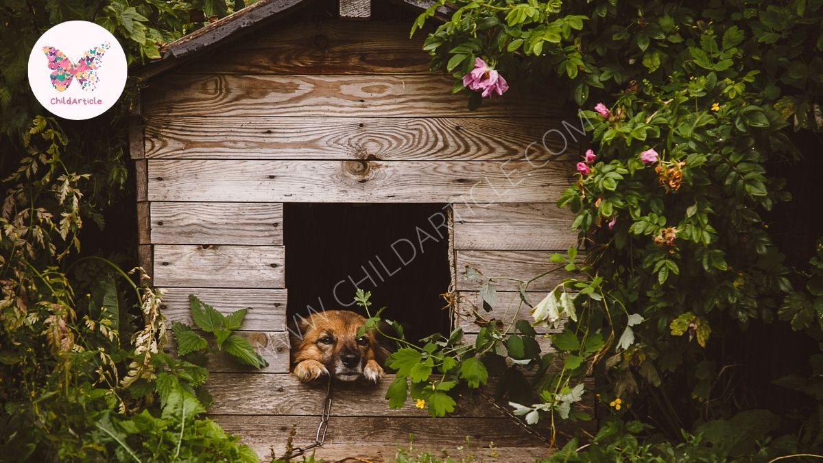 How to build a log Cabin Dog House for Your Dog | ChildArticle