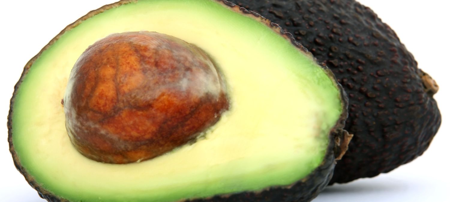 Top 10 Benifits of Avacado | ChildArticle